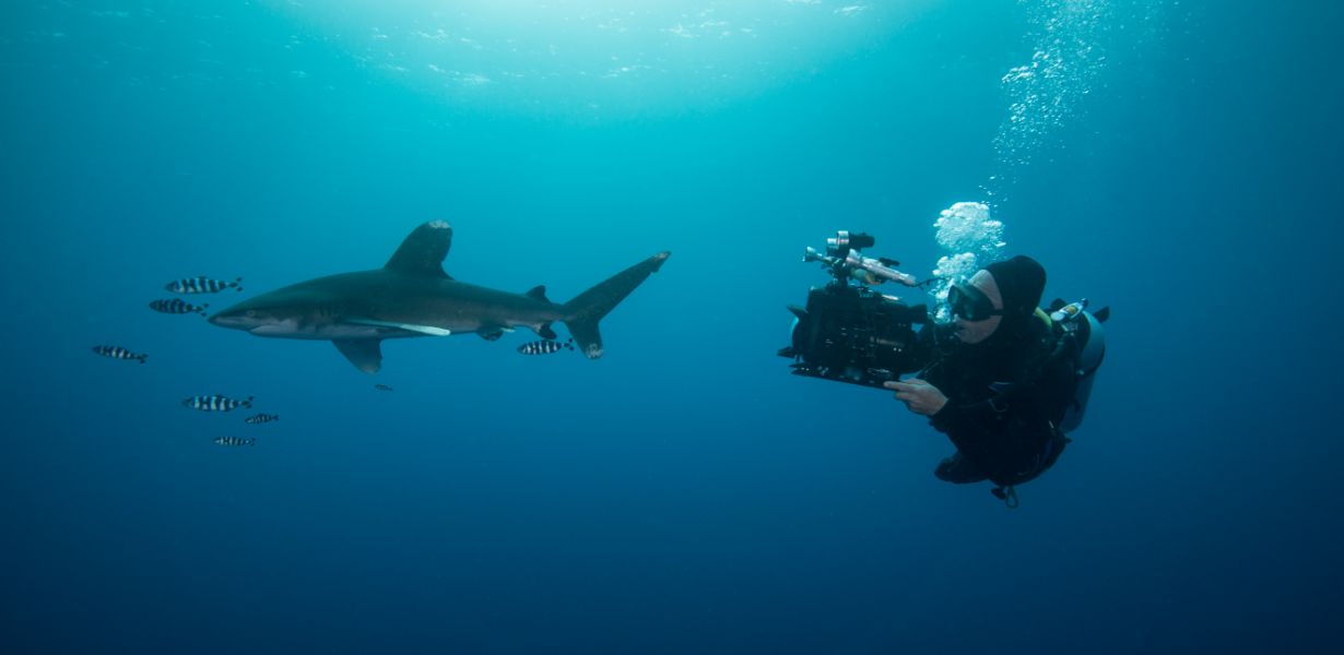 Beneath the Bytes: Unveiling the Depths of Scuba Diving Adventures