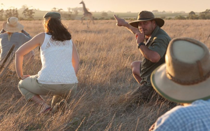 Unveiling the Virtual Wilderness: A Journey Through Virtual Safaris